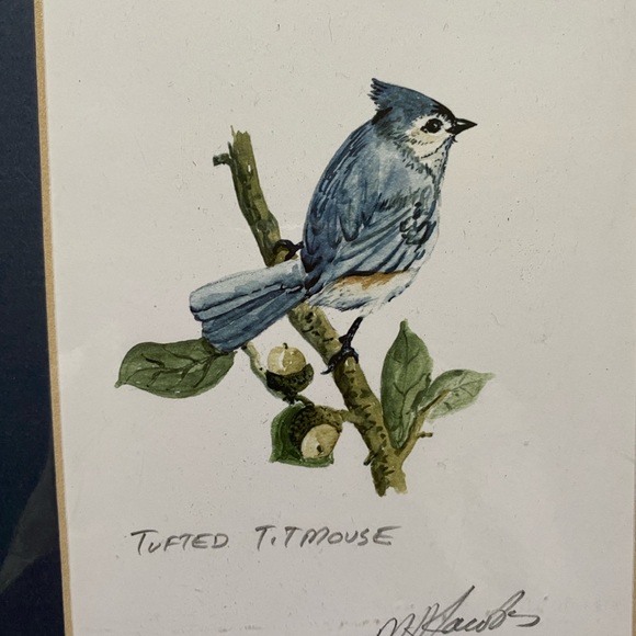 Tufted Titmouse watercolor print - Picture 3 of 5